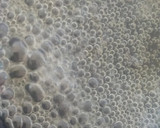 Foto del paso 2 de la receta: Macarrons