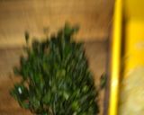Foto del paso 1 de la receta: Kubbe?