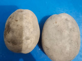 Cimol Kentung