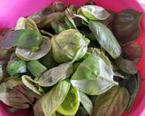 Foto del paso 1 de la receta: "Cubitos" de albahaca listos para usar
