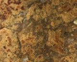 A picture of step 3 of Egg Parantha Roll.