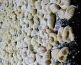 Foto del paso 4 de la receta: Ñoquis caseros