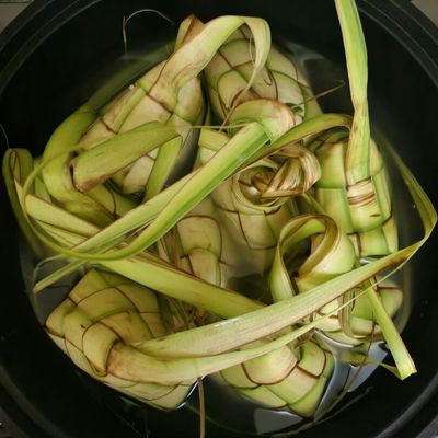 Langkah 8