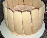Foto del paso 7 de la receta: Charlotte de mousse de durazno