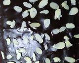Foto langkah ke 5 dari resep Coklat cake tanpa mixer/oven.