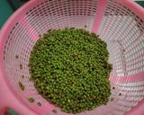 Foto langkah ke 1 dari resep RESEP BUBUR KACANG HIJAU SLOWCOOKER - DAPUR MARISA.