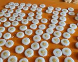 Foto del paso 2 de la receta: Galletitas decoradas con fondant sin gluten