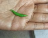 Foto langkah ke 8 dari resep Nastar Labu.