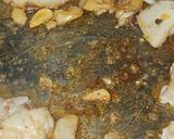 Foto del paso 2 de la receta Sopa de pescado con sémola