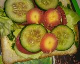 વેજિટેબલ્ સેન્ડવીચ (Vegetable Sandwich Recipe In Gujarati) રેસીપી સ્ટેપ3ફોટો