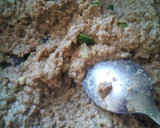 Foto del paso 4 de la receta: Paté de sardinas con aceitunas en microondas