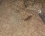 Foto del paso 3 de la receta: Frijoles fritos
