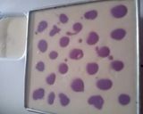 Foto langkah ke 9 dari resep Puding Cake Coklat Taro.