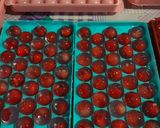 Foto langkah ke 4 dari resep 424. Fruit Jelly Ball.