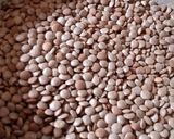 A picture of step 1 of Malka masoor daal.