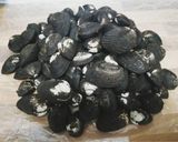 Foto del paso 2 de la receta: Ceviche de conchas negras