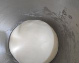 Foto langkah ke 3 dari resep Bakpao lembut(layak jual).