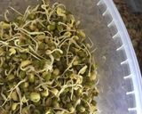 A picture of step 1 of Stuffed moong dal cheela.