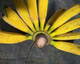 Foto langkah ke 1 dari resep Pisang aroma maniss (caramel).