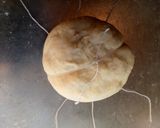 A picture of step 11 of Pumpkin shaped dinner rolls.