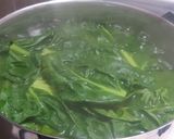 Foto del paso 1 de la receta: Acelguitas Arrolladas, Un Menú para Tener en Cuenta, Riquísimo!!