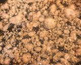 Foto langkah ke 5 dari resep Tahu Cabe Garam.