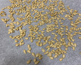 Foto del paso 3 de la receta: Pipas de calabaza