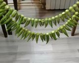 عکس مرحله 1 از دستور ادویه بامیه