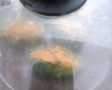 A picture of step 5 of Gota kalara Bhaja.