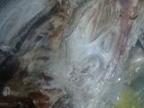 Ganso al escabeche