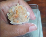 Foto langkah ke 3 dari resep Dimsum Mentai (Ayam-Udang).