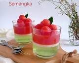 Cara Membuat Puding Jeli Semangka  4