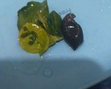 Foto langkah ke 2 dari resep Kacang Panjang Tempe Tahu.