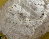 Foto del paso 3 de la receta: Pan de molde de espelta de masa madre !!!!