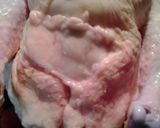 A picture of step 7 of Whole Roasted Chicken, stuffed with apples and sausage.