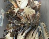 รูปขั้นตอนการทำที่ 1 ของ กุ้ง+ปูม้าดองซีอิ๋ว