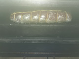 Solomillo de cerdo relleno