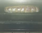 Foto del paso 2 de la receta: Solomillo de cerdo relleno