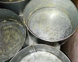 A picture of step 12 of Mint cakes.