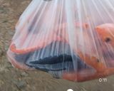 Foto langkah ke 1 dari resep Ikan asin rumahan.