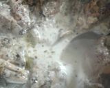 Foto del paso 5 de la receta: Arroz con pollo a la crema