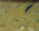 A picture of step 8 of Idli sambhar.