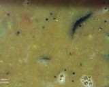 A picture of step 8 of Idli sambhar.