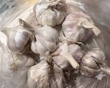 A picture of step 1 of Pickled Garlic 🧄.