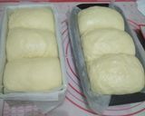 Foto langkah ke 3 dari resep Shokupan Poolish.