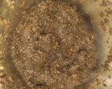 A picture of step 8 of Black chicken masala.