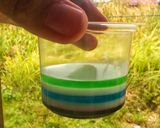 Foto langkah ke 3 dari resep 🌈Puding Pelangi🌈.