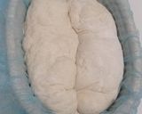 Foto langkah ke 11 dari resep Basic Sourdough Bread 96% (Oven Tangkring).