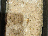El Pan de la Abu