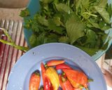 Foto langkah ke 4 dari resep Sop Gurame Bening.
